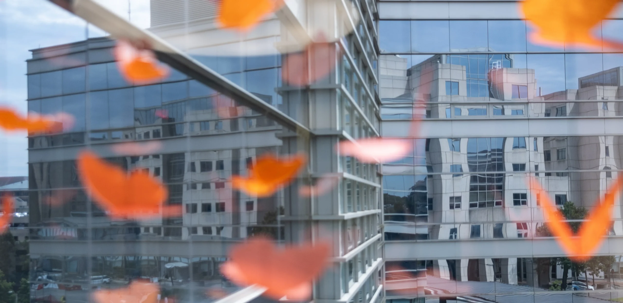 Orange leaves fall against the glass exterior of a UNC cancer research building, creating a reflective and calming hospital campus scene.